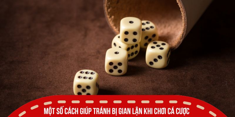 Một số cách giúp tránh bị gian lận khi chơi cá cược